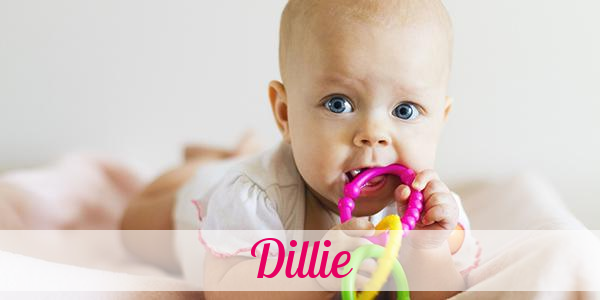 Namensbild von Dillie auf vorname.com
