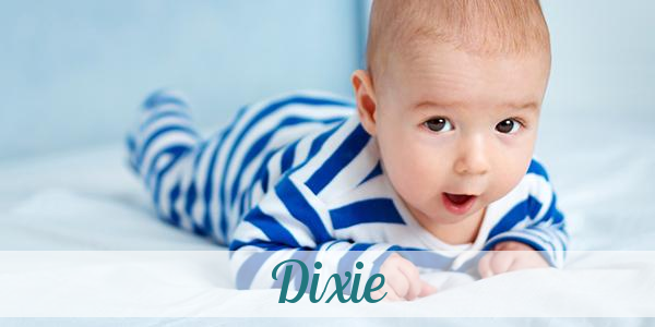 Namensbild von Dixie auf vorname.com