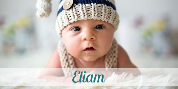 Namensbild von Eliam auf vorname.com