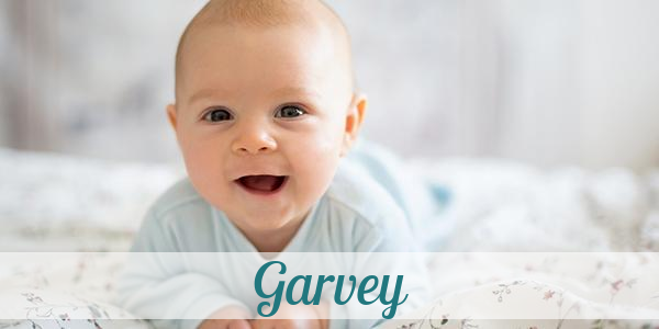 Namensbild von Garvey auf vorname.com