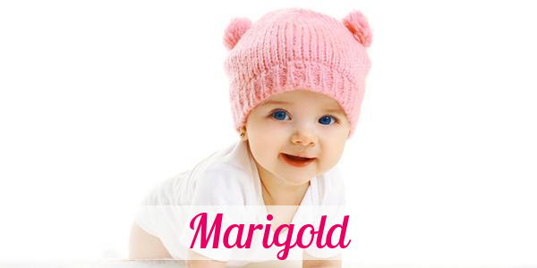 Namensbild von Marigold auf vorname.com