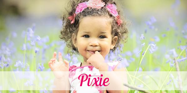 Namensbild von Pixie auf vorname.com