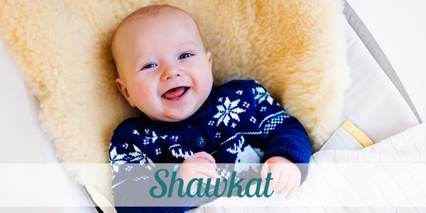 Namensbild von Shawkat auf vorname.com