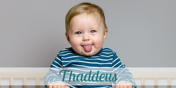 Namensbild von Thaddeus auf vorname.com