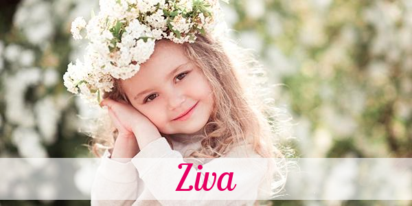 Namensbild von Ziva auf vorname.com
